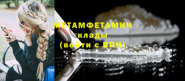 сатива Волоколамск