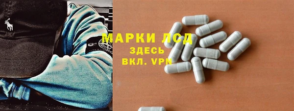 МДПВ Вяземский