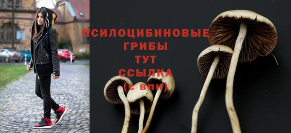 сатива Волоколамск