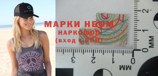 сатива Волоколамск