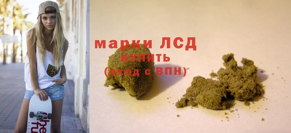 сатива Волоколамск